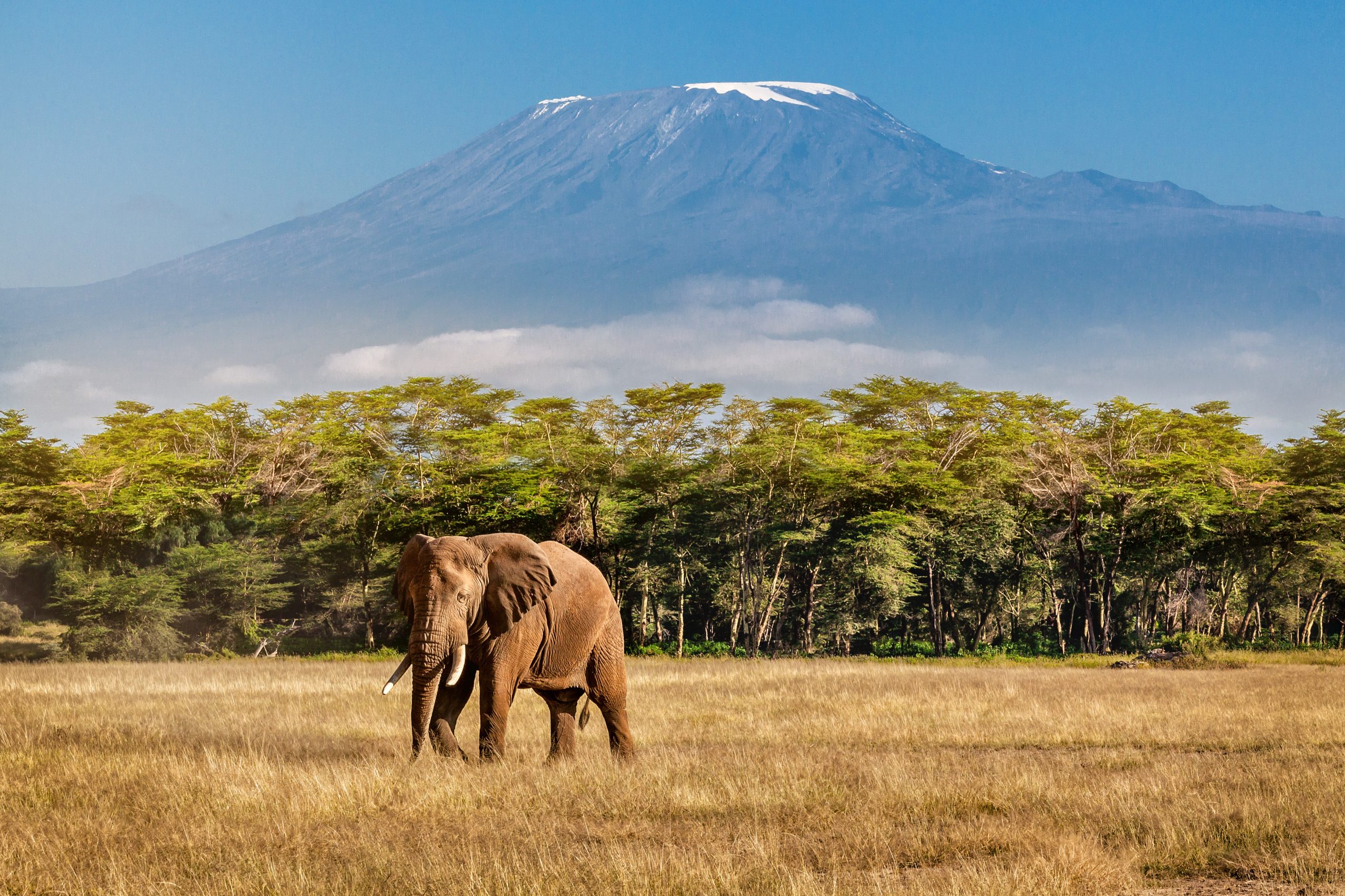 La Tanzanie en terres Massaï